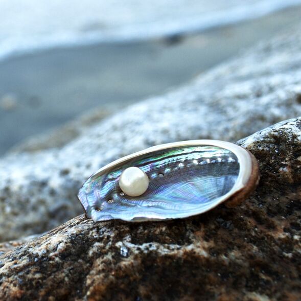 Lip Calm Pacific Pearl-Sterling soAKs